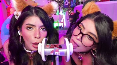 Duo Cats Layered Biaural Ear Licks Meow ARA ARA - CorneliustheCat ASMR