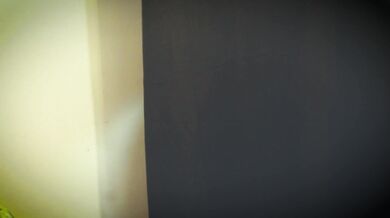 Handjob and blowjob in the store dressing room.