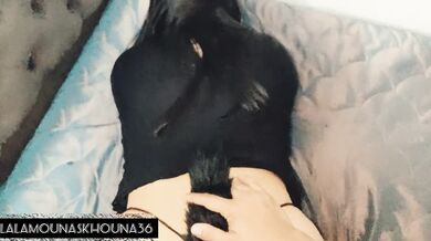 لقد قمت بتحصيل إيجارها ???? مقابل إيجار المنزل ولكن ليس لديها مال، لأن زوجها ليس هنا ???? تقول لي أن أضا