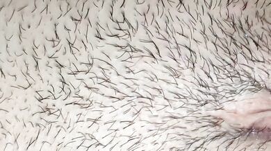 بصوت واضح ???? يشدني خشاه فيا???? أو بقيت كنغوت أحححح ع